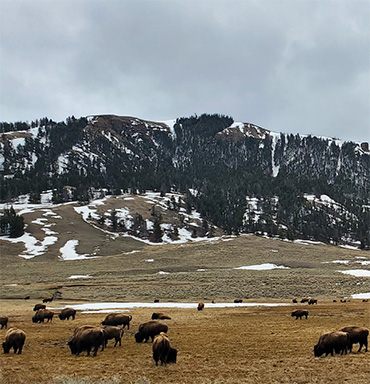 Western USA &nbsp;Vacations